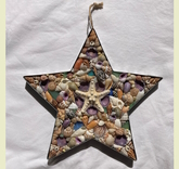 Tropical Star Starfish, 10 in. x 10 in.